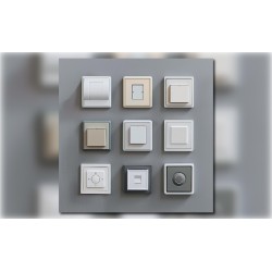Wall switches