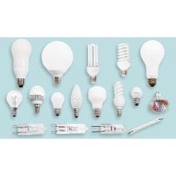 LED bulbs
